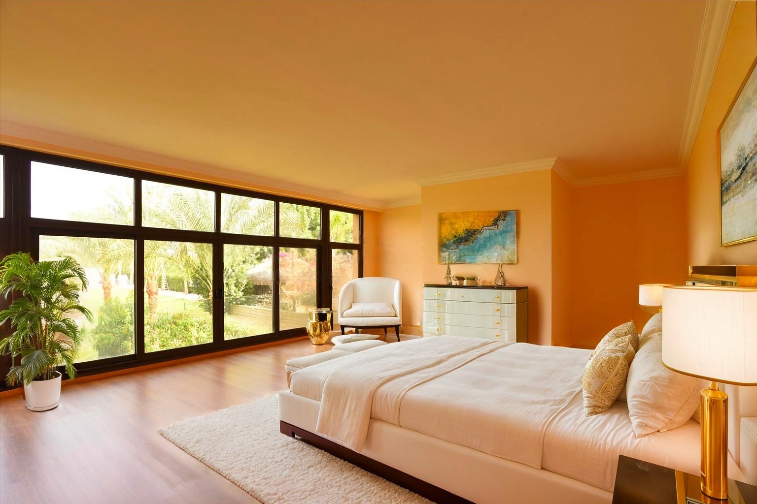 Luxury Suite